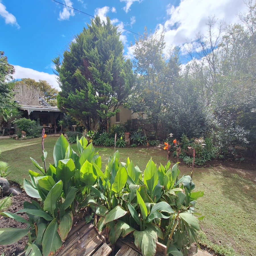 3 Bedroom Property for Sale in Reitz Free State